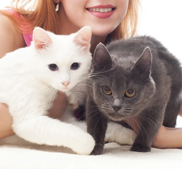 Ragazza che tiene due gatti su uno sfondo bianco — Foto Stock