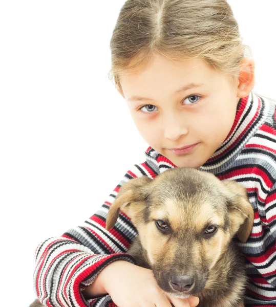Retrato de uma menina e um cão em um fundo branco — Fotografia de Stock