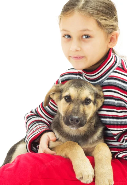 Porträtt av ett barn och en hund på en vit bakgrund — Stockfoto