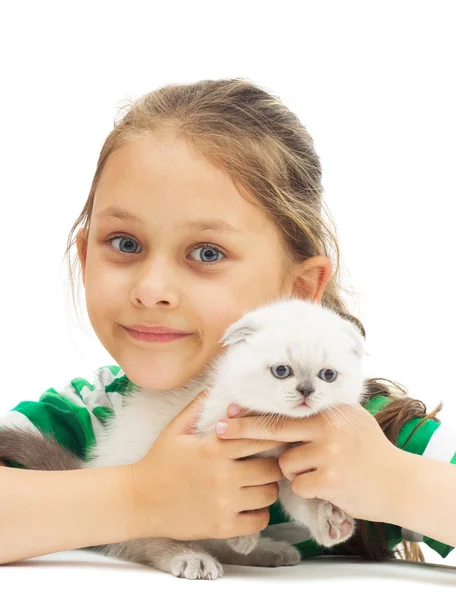 Criança abraços britânico lop-eared gatinho em um fundo branco isolado — Fotografia de Stock