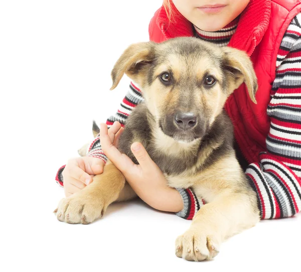 Kid and mongrel on a white background — Stock Photo, Image