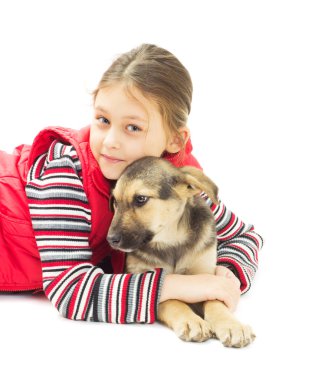 Portrait of a Girl and puppy mutts on a white background isolate clipart
