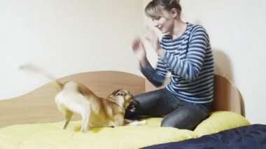 Neşeli köpekle oynamayı kadın