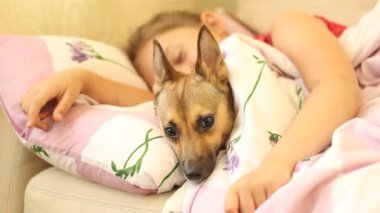 Kız ile bir köpek yatakta