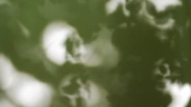 yeşil ağaç yaprakları