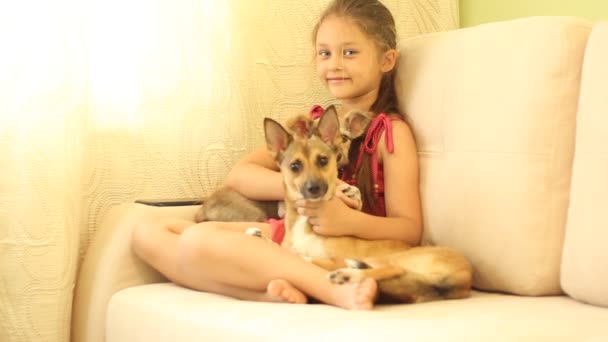 Niña con un cachorro — Vídeo de stock