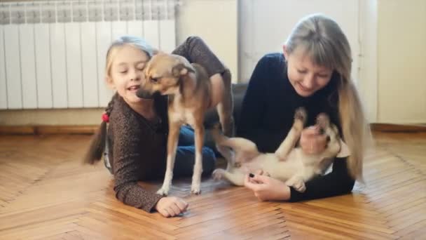 Familia jugando con — Vídeo de stock