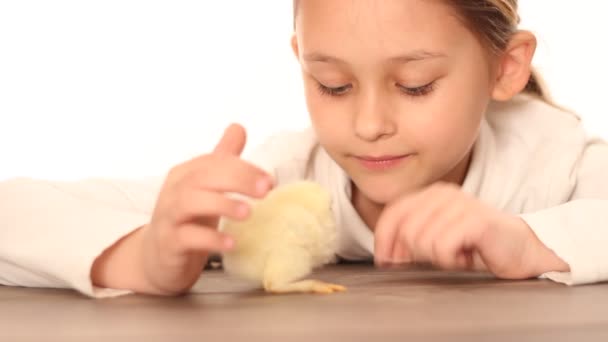 Chica jugando con pollo — Vídeos de Stock