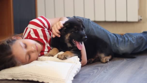 Chica suavemente acariciando el cachorro — Vídeo de stock