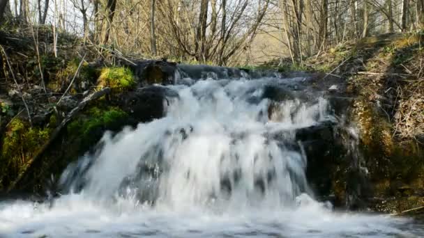 Cachoeira florestal com rochas — Vídeo de Stock