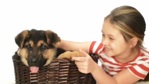 Маленька дівчинка і щенячий собака — стокове відео