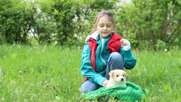 Criança brinca com cachorro bege — Vídeo de Stock