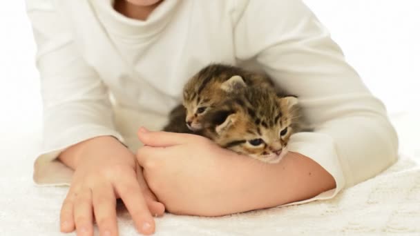 Menina deitada com dois gatinhos — Vídeo de Stock