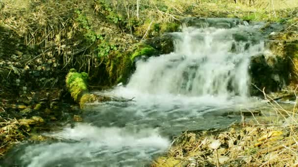 Waldwasserfall mit Felsen — Stockvideo