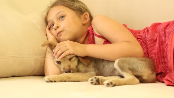 Little girl with a puppy — Stock Video