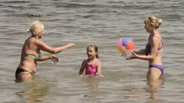 Familia divirtiéndose jugando pelota — Vídeos de Stock