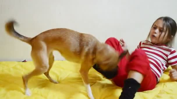 Menina e cachorro no sofá — Vídeo de Stock