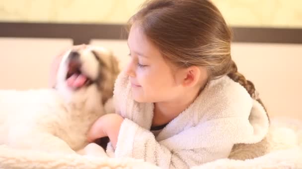 Criança brincando com um cachorro — Vídeo de Stock