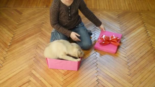 Дівчина отримує собаку в подарунковій коробці — стокове відео