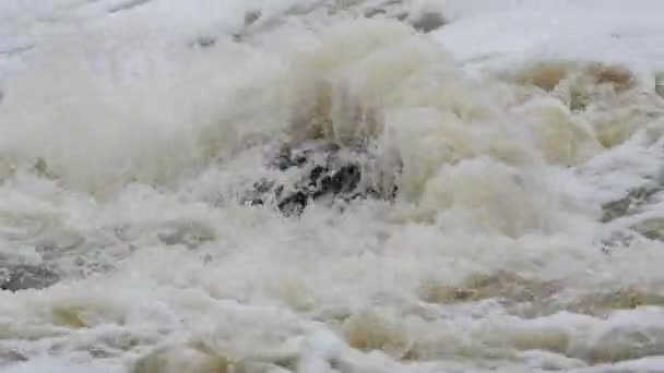 Hochwasser im Frühjahrswald — Stockvideo