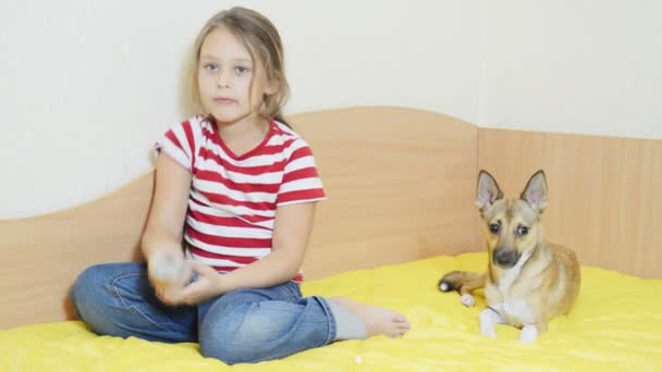 Flicka med fjärrkontroll och hund — Stockvideo