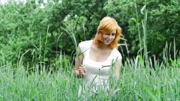 Girl collecting wheat ears — Stock Video