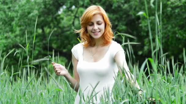 Ragazza raccoglie le spighe di grano nel campo — Video Stock