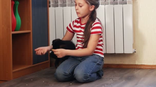 Mädchen mit einem Welpen — Stockvideo