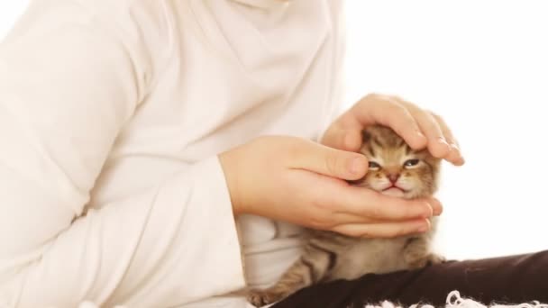 Menina segurando um gatinho — Vídeo de Stock