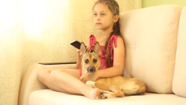 Bambina con un cucciolo — Video Stock