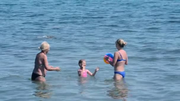 Familia divirtiéndose jugando pelota — Vídeo de stock