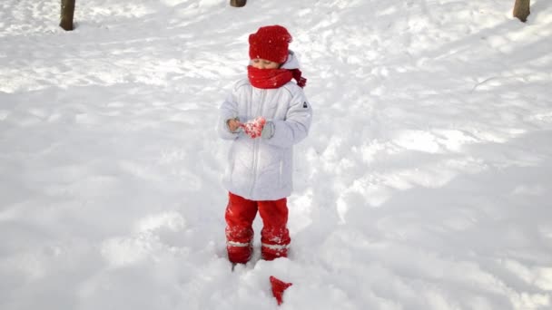 Κοριτσάκι σε χειμερινή ημέρα — Αρχείο Βίντεο