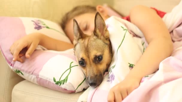 Menina na cama com um cão — Vídeo de Stock