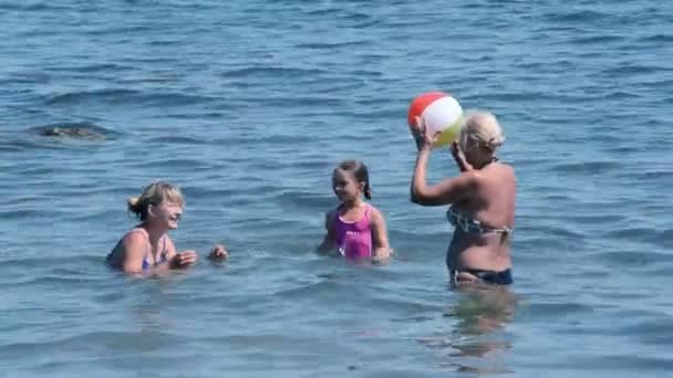 Familia divirtiéndose jugando pelota — Vídeos de Stock