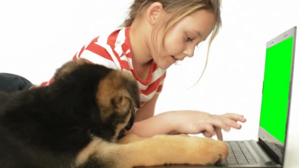 Pouco bonito menina e cachorrinho — Vídeo de Stock