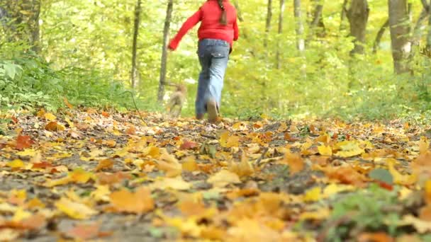 Chica corriendo en el bosque — Vídeo de stock