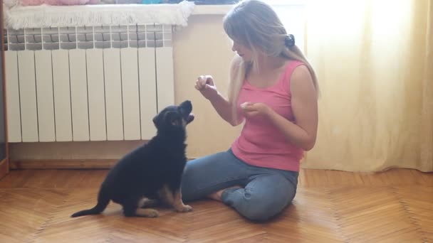 Mujer con un cachorro — Vídeo de stock