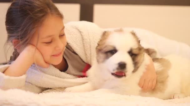 Niño jugando con un cachorro — Vídeo de stock