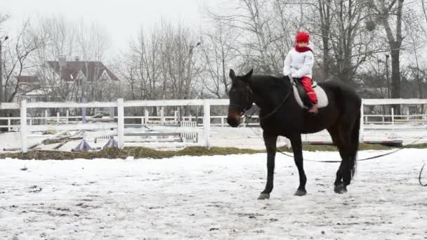 Weinig meisje paardrijden paard — Stockvideo