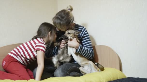 Mamá con hija y cachorro con gato — Vídeo de stock