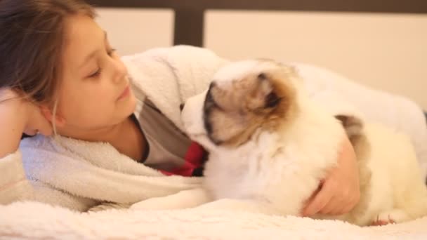 Kind spelen met een puppy — Stockvideo