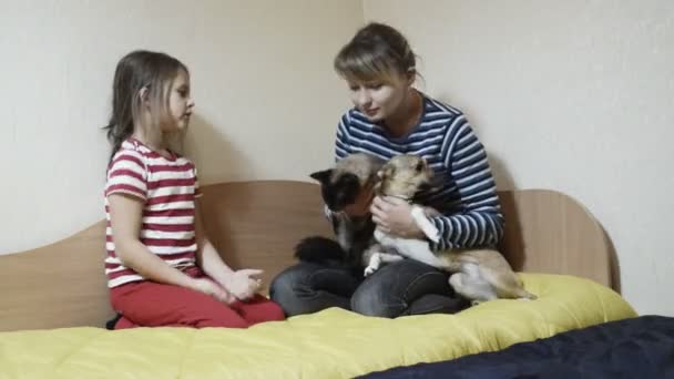 Mamá con hija y cachorro con gato — Vídeo de stock