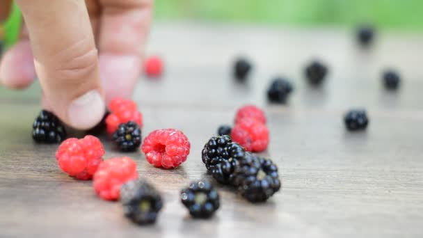 Waldbeeren auf dem Tisch — Stockvideo