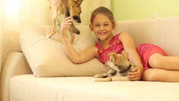 Little girl with puppies — Stock Video