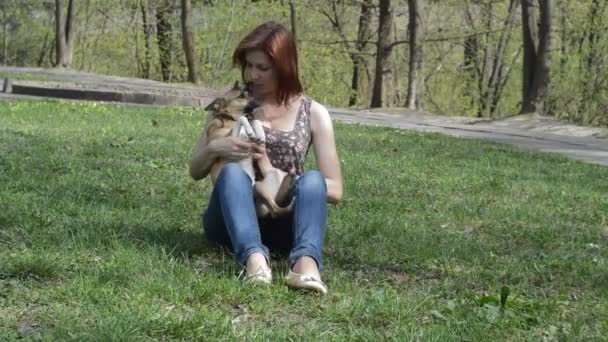 Mujer jugando con perro — Vídeos de Stock