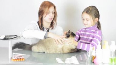 Küçük kız ve kedi kadın Veteriner