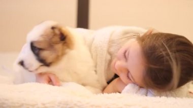 Bir köpekle oynayan çocuk