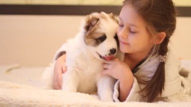 Bir köpekle oynayan çocuk