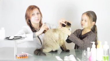 Küçük kız ve kedi kadın Veteriner
