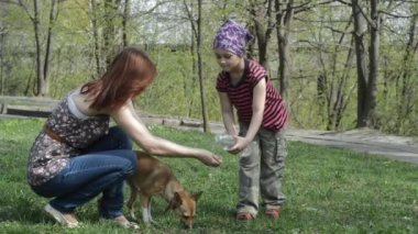Kızlar köpekle oynamayı